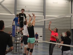 UA141108volleybaltoernooi08.JPG